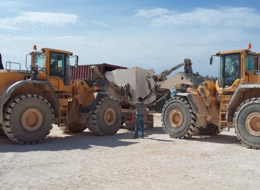 Successdragon - Import&Export Co