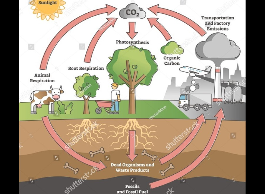 Why do we need to preserve natural stones ?