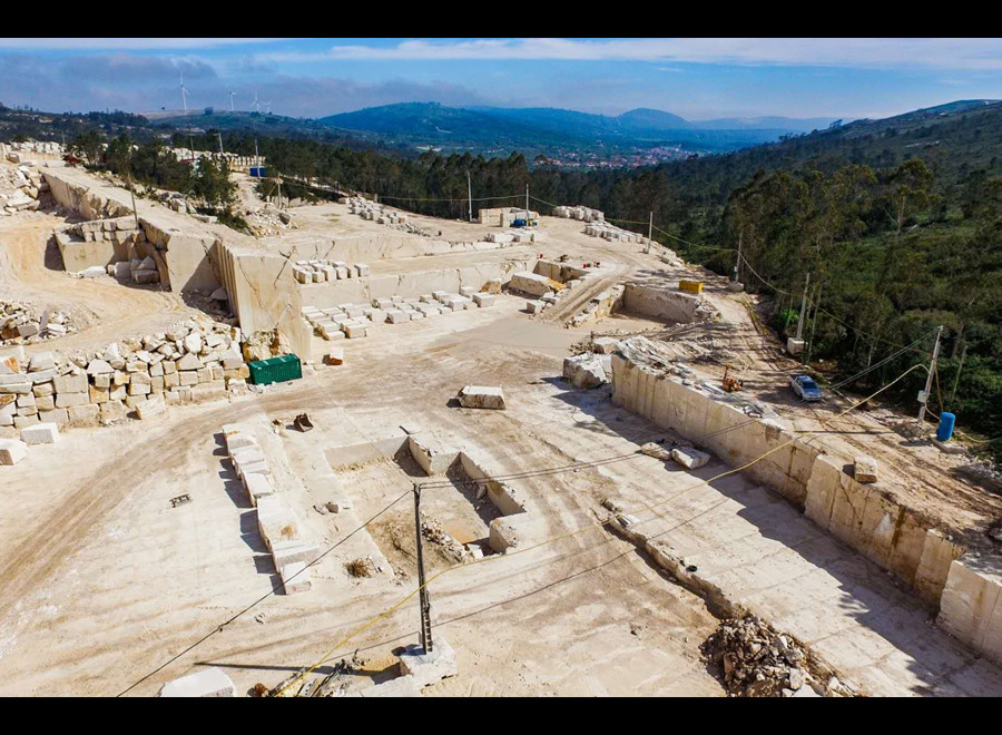 Successdragon - Import&Export